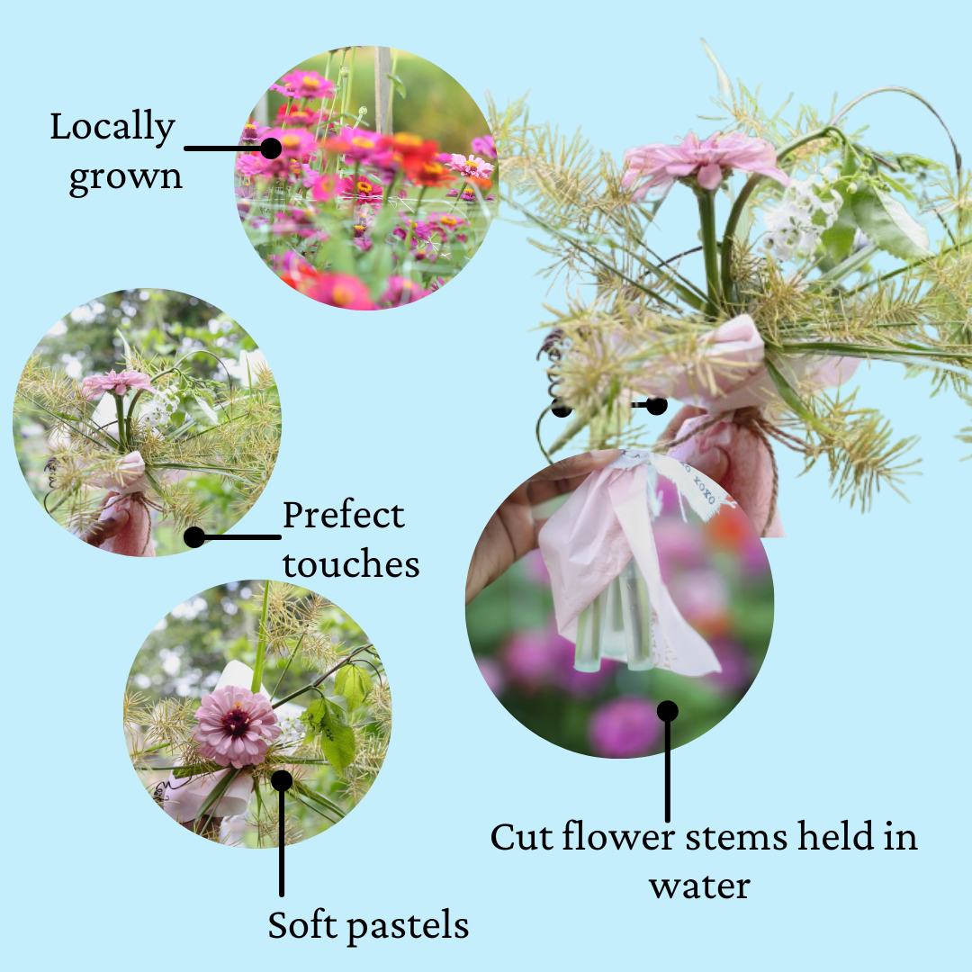 Fresh Mini Cut Flower Bouquets - Zinnias