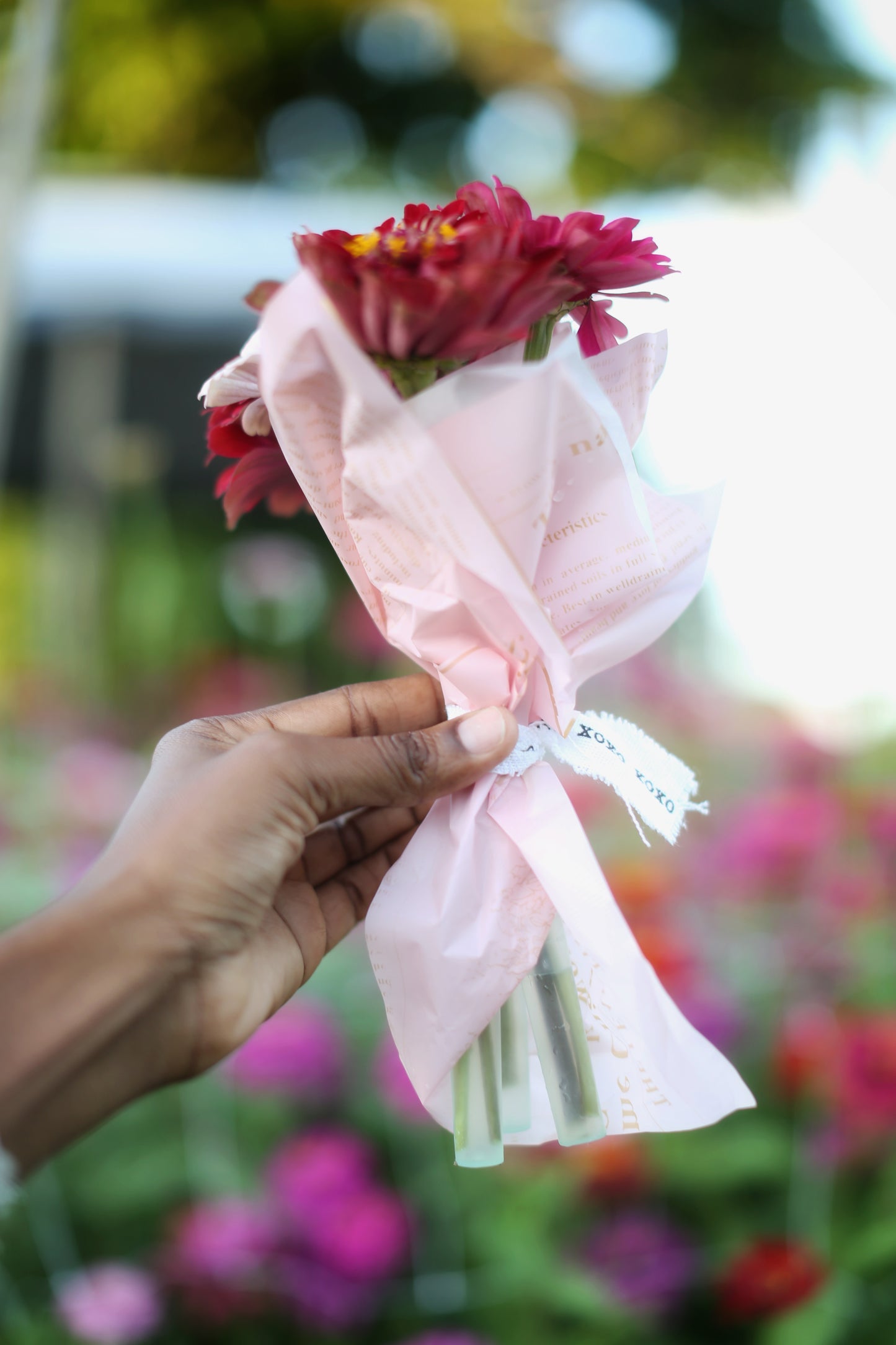 Fresh Mini Cut Flower Bouquets - Zinnias