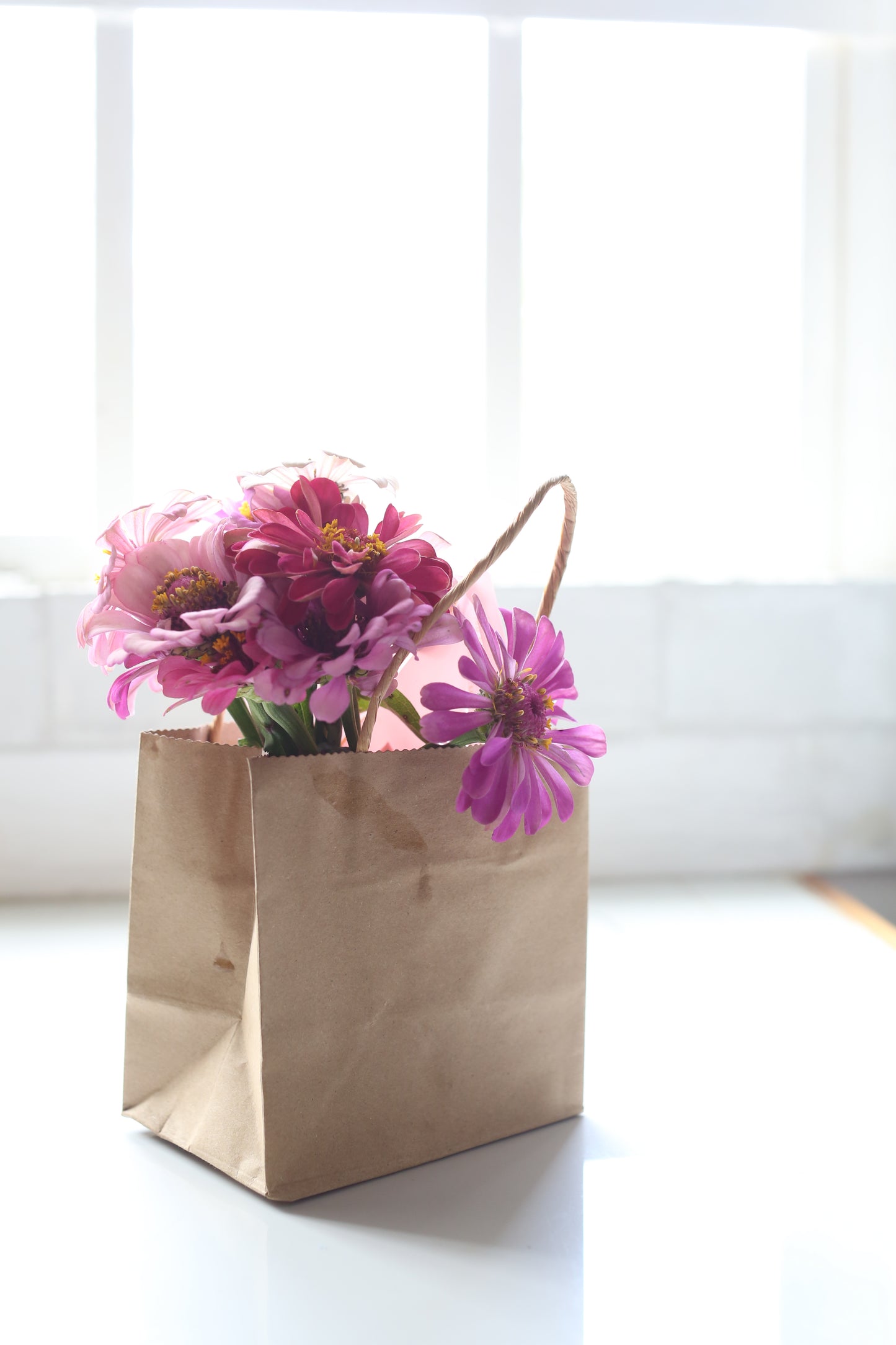 Fresh Mini Cut Flower Bouquets - Zinnias