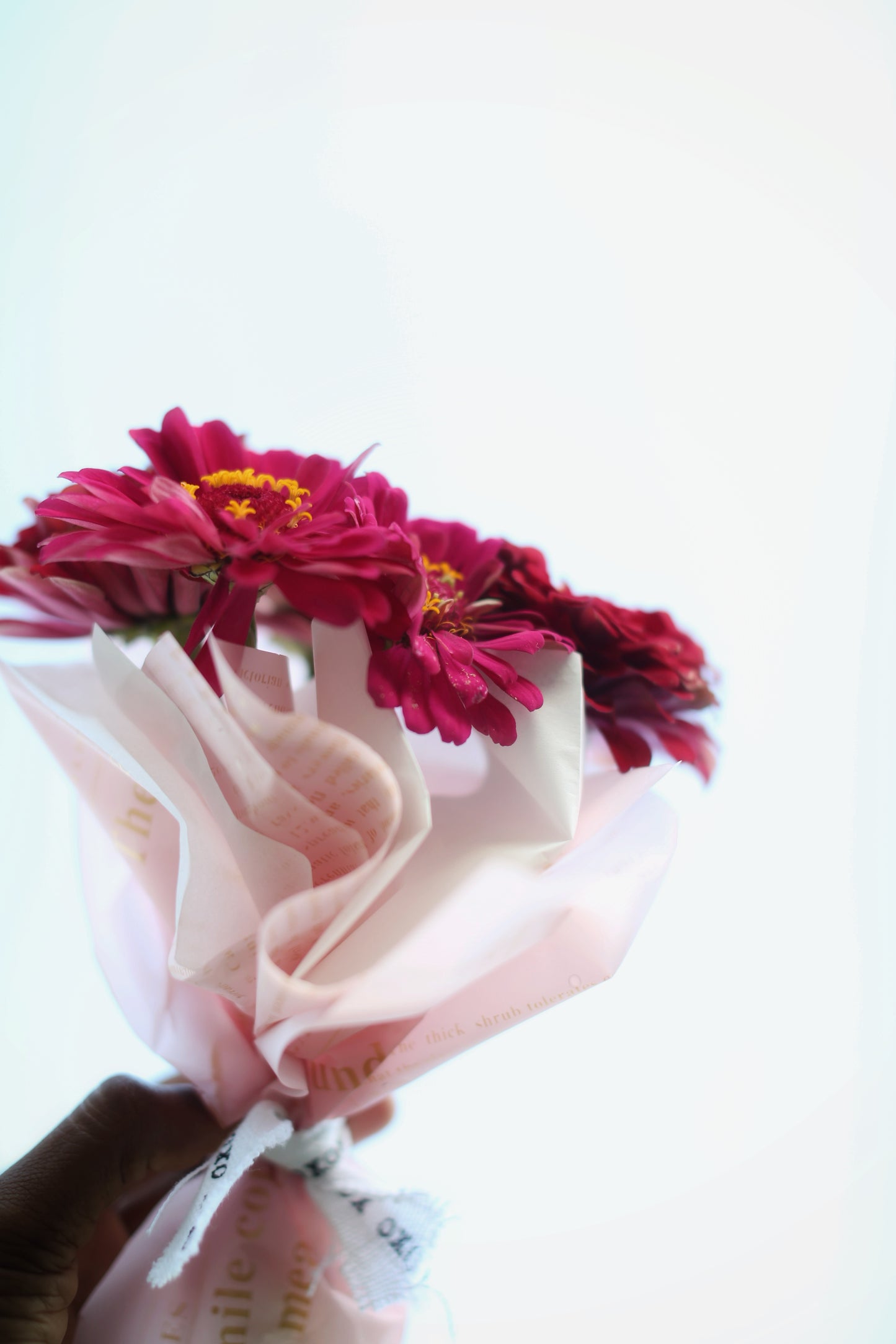 Fresh Mini Cut Flower Bouquets - Zinnias