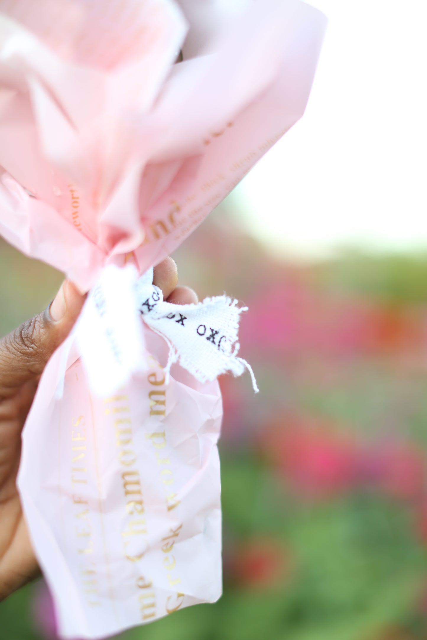 Fresh Mini Cut Flower Bouquets - Zinnias