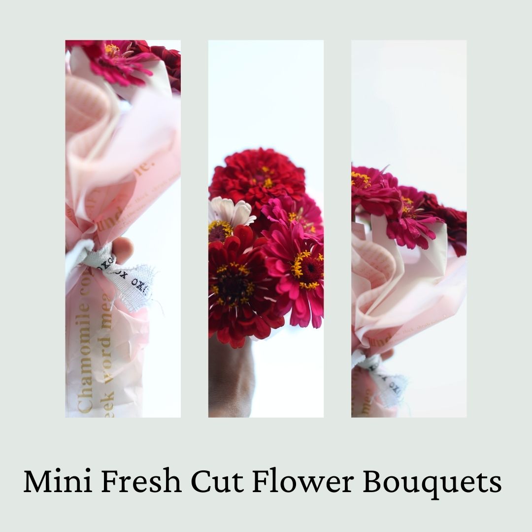 Fresh Mini Cut Flower Bouquets - Zinnias